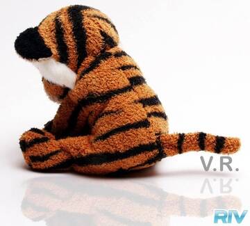 Public Photo of vr88