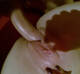 Foto privada de mielebaby