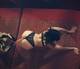 Foto privada de Maria_porcellina