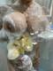 Foto privada de Perla_Margot