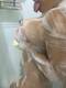 Foto privada de Perla_Margot