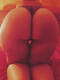 Private Photo of CurvyHouse