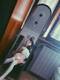 Foto privada de Milkshake_