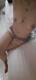 Foto privada de Pupa8484