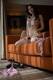 Foto privada de __Nina_