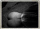 Private Photo of Julya94